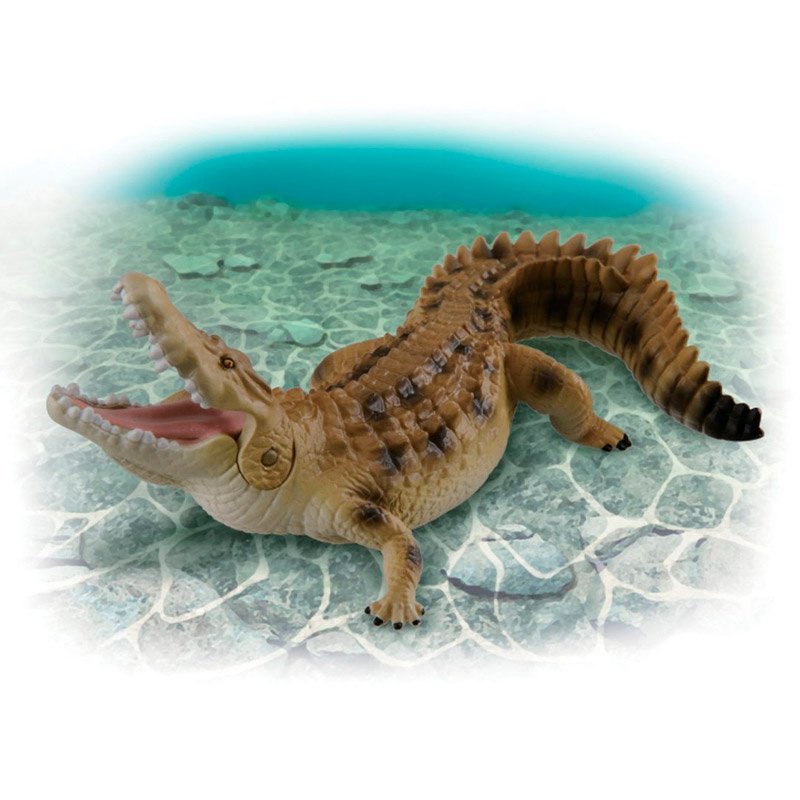 COCODRILO DE AGUA SALADA ANIA AS-32 | TAKARA TOMY - IRION Juguetería - COCODRILO DE AGUA SALADA ANIA AS-32 | TAKARA TOMY - IRION Juguetería -